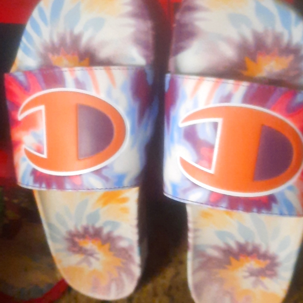 Slides